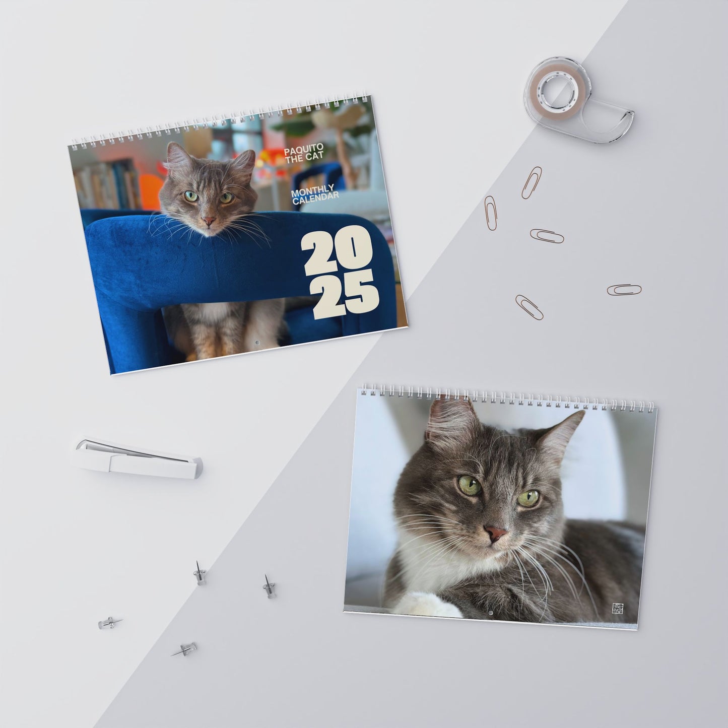 2025 Paquito The Cat Wall Calendar