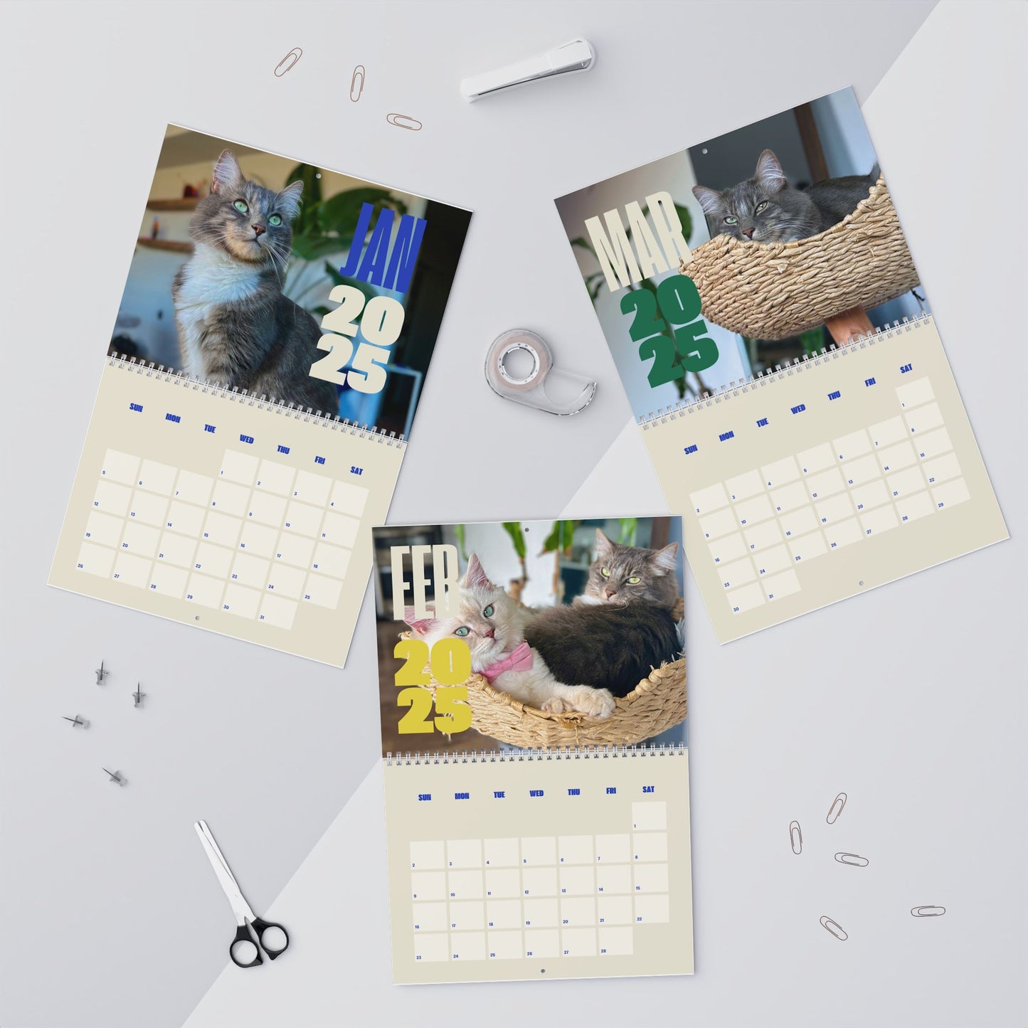 2025 Paquito The Cat Wall Calendar